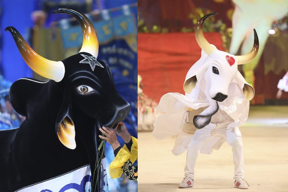 Globo mira o Norte e aposta no Festival de Parintins como cenário de nova novela das 7